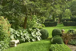 Tiered Landscaped Gardens