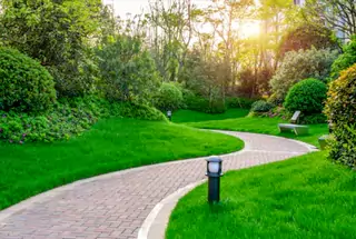 Walking Path