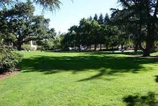 Landscaped Gardens