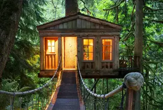 Treehouse