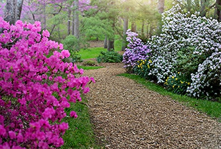 Floral Gardens
