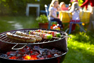 Barbeque Party Lawn