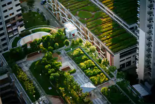Rooftop Garden