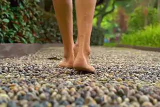 Reflexology Path