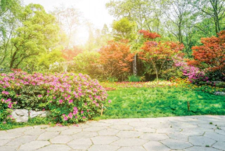 Flower Garden