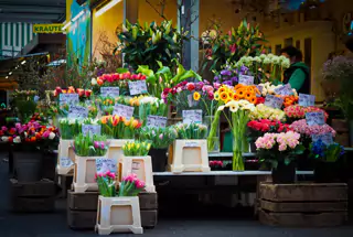Florist