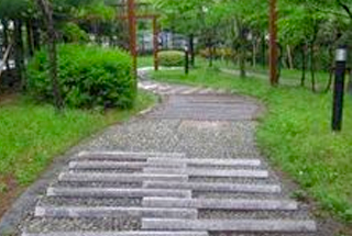 Reflexology Path