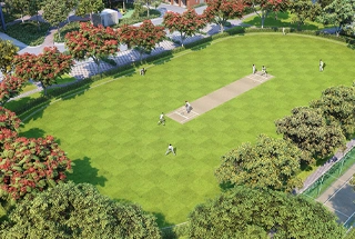 Mini Cricket Field