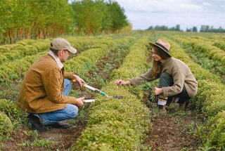Community Farm
