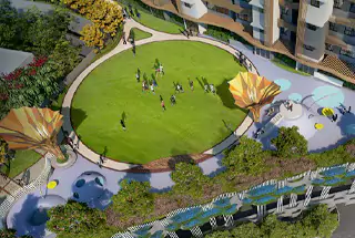 Multipurpose Lawn