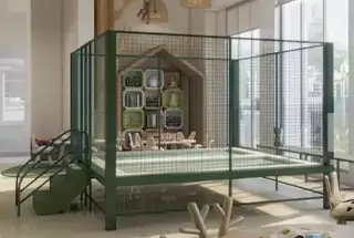 Mini Boxing Ring
