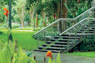 Community Park