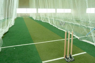 Cricket Pitch