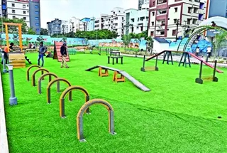 Pet Area