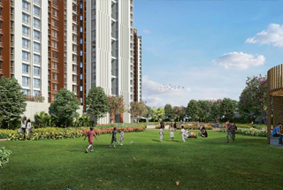 Multipurpose Lawn
