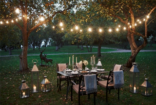 Party Lawn