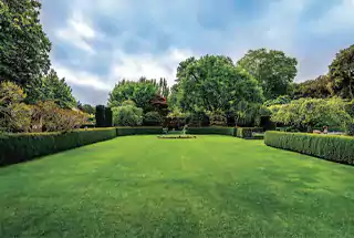 Multi Purpose Lawn