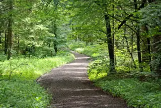 Nature Trail
