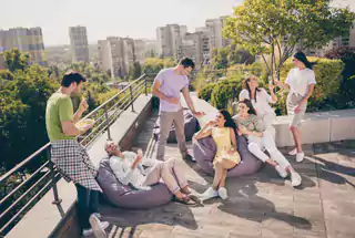 Party Lawn