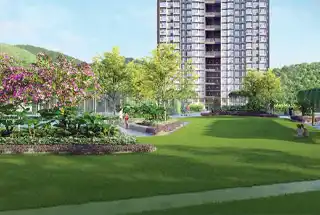Landscaped Garden