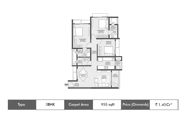 3 BHK 955 Sq.ft