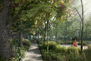 Jogging Track