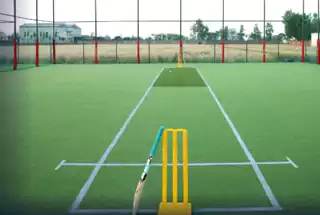 Cricket Turf