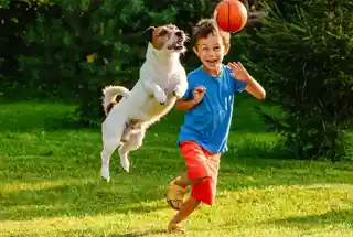 Pets Zone