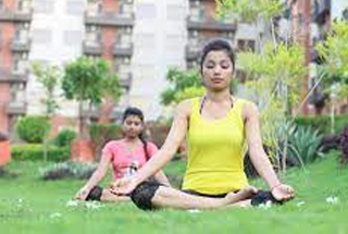 Yoga Lawn