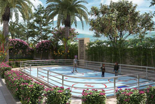 Skating Rink