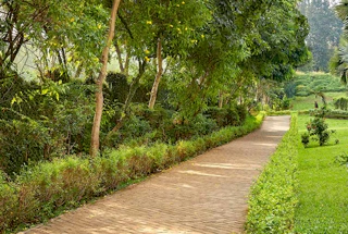 Jogging Track