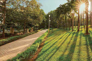 Landscaped Garden