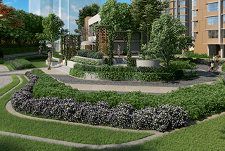 Lush Landscape Garden