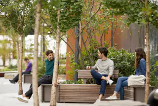 Landscaped Plaza