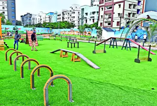 PET PARK