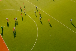 Multifunctional Turf