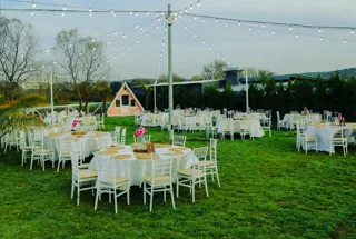 Party Lawn
