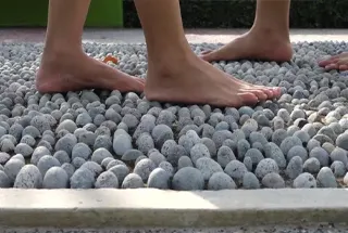 Reflexology Path