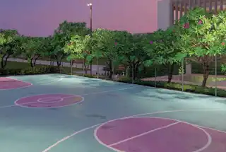 Basketball Court