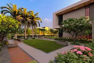 Party Lawn