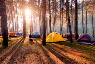 Camping Site