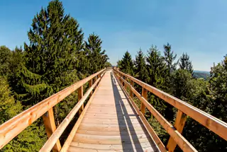 Canopy Walkway