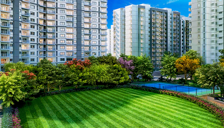 L & T Raintree Olivia Overview
