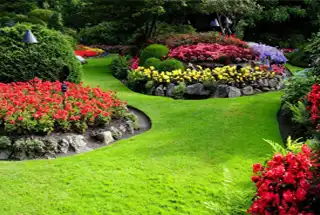 Landscaped Garden