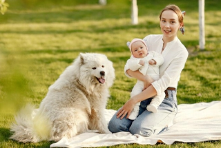 Pets’ Zone