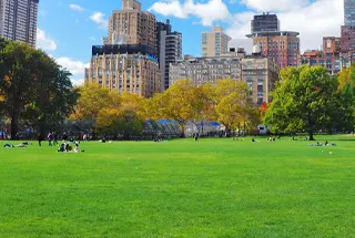 Central Greens