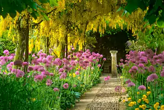 Herb & Flower Garden