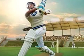 Cricket Pitch