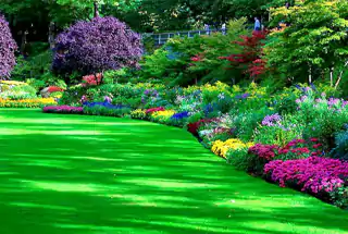 Flower Garden