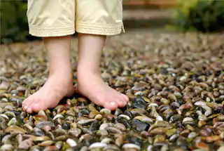 Reflexology Path